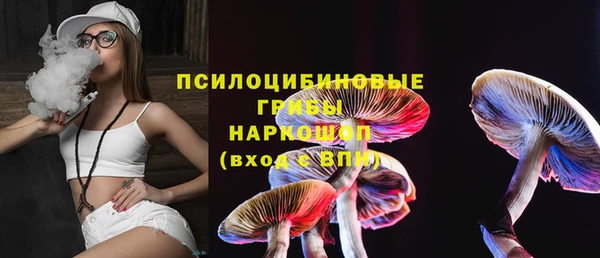 гидра Ельня