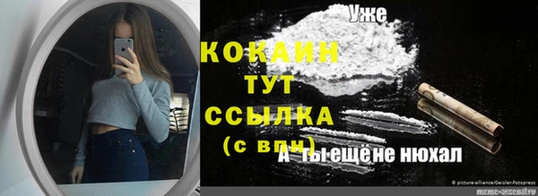 гидра Ельня