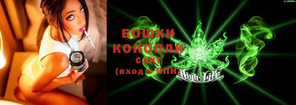 гидра Ельня