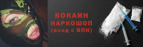 гидра Ельня