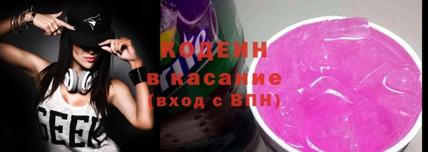 гидра Ельня