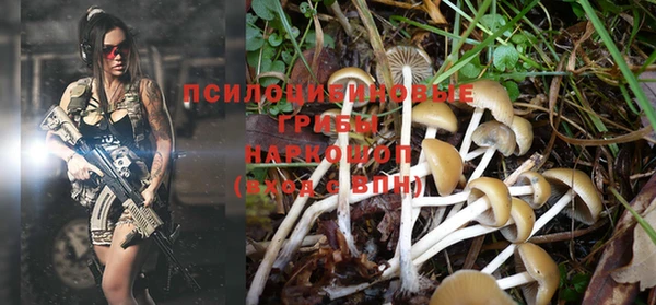 прущая мука Елабуга