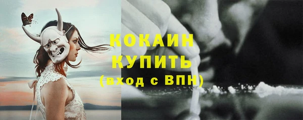 гидра Ельня