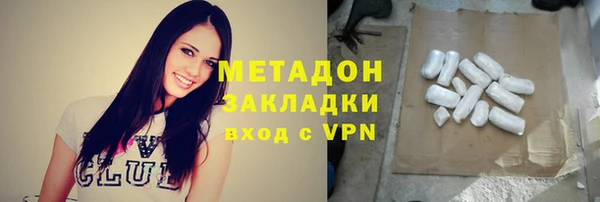 гидра Ельня