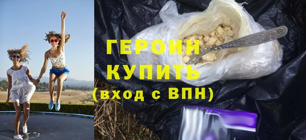 гидра Ельня