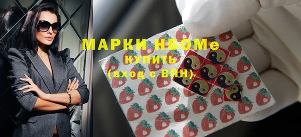 гидра Ельня