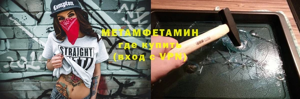 гидра Ельня