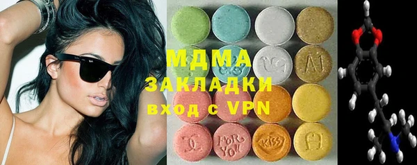 гидра Ельня