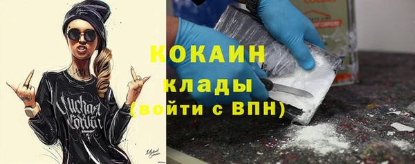 гидра Ельня