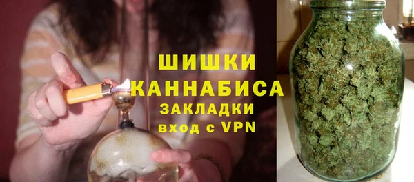гидра Ельня